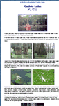 Mobile Screenshot of caddo-lake.net
